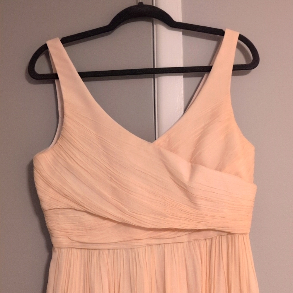 J Crew Champagne Chiffon Dress - Picture 2 of 3
